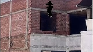 Huánuco: exhuman y realizan necropsia de perro que murió ahorcado