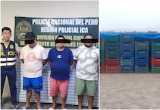 Chincha: caen “Los Palteros” tras robo de camión con paltas valorizadas en 50 mil soles