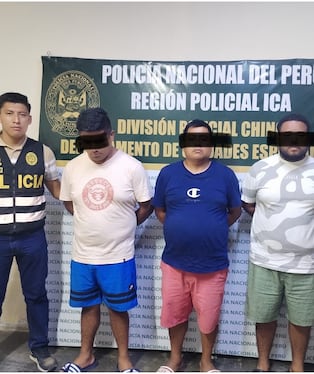 Chincha: caen “Los Palteros” tras robo de camión con paltas valorizadas en 50 mil soles