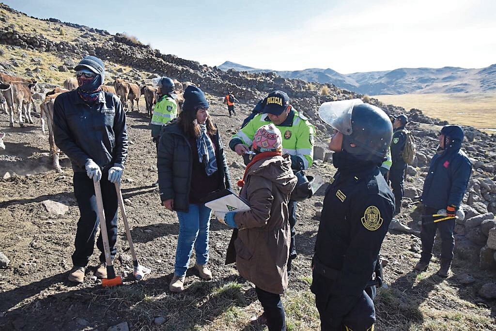 Fueron recuperados por el Gobierno Regional de Arequipa. Foto: GEC.
