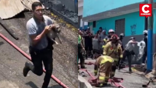 Policía arriesga su vida en voraz incendio y salva a un perrito en El Agustino