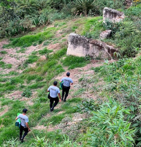 Sigue la búsqueda de chofer
