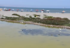 Crisis ambiental en el litoral de Pisco: solo dos playas son saludables