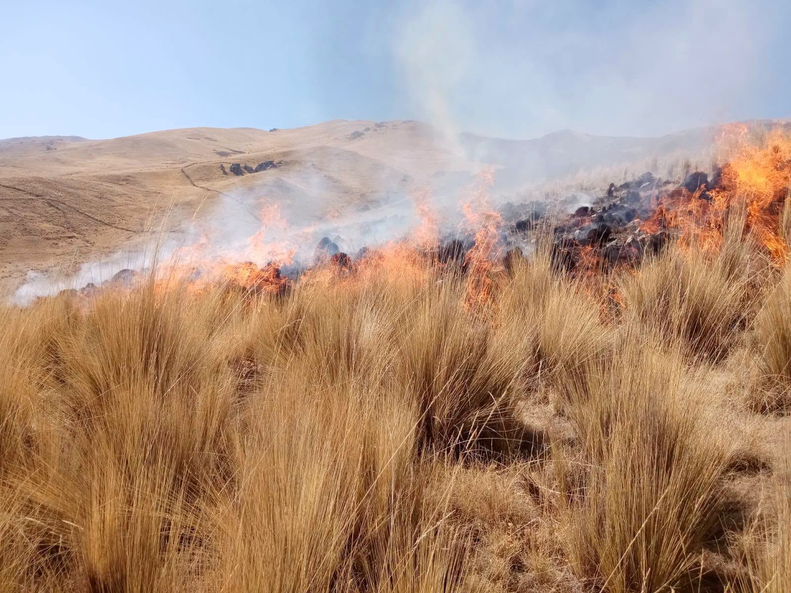 Fuego destruye la flora y fauna en el distrito de Cyarani en la provincia de Condesuyos en Arequipa