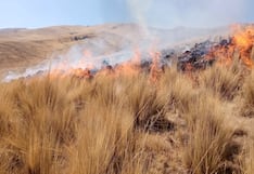 Incendio forestal en Cayarani moviliza a pobladores y autoridades