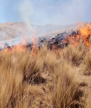 Fuego destruye la flora y fauna en el distrito de Cyarani en la provincia de Condesuyos en Arequipa