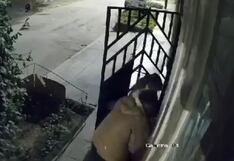 Delincuente asalta a mujer en la puerta de su domicilio en Trujillo (VIDEO)