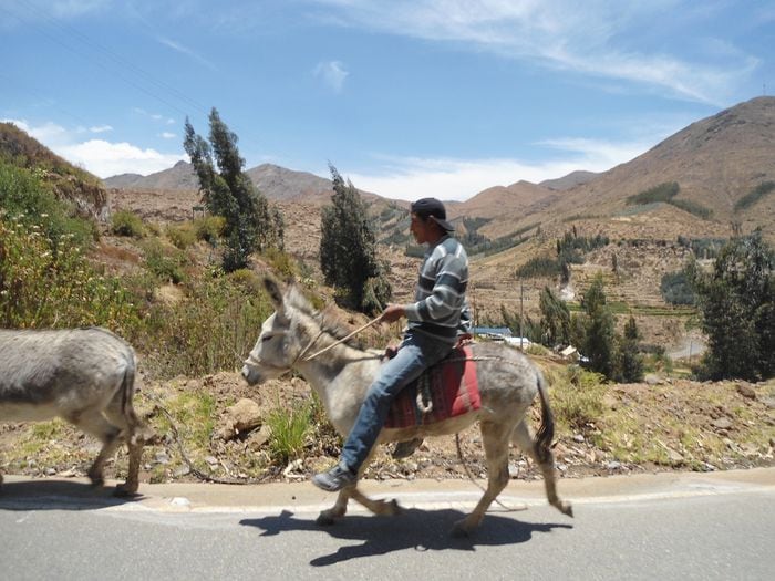 Como parte de las celebraciones patronales en honor a la Virgen del Carmen. La actividad se realizará el 16 de julio. (Foto: ReferenciaL)
