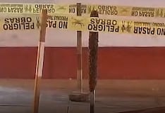 Enjambre de abejas alarma a vecinos de Santa Anita y deja dos personas picadas