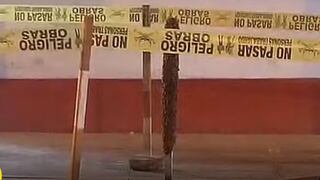 Enjambre de abejas alarma a vecinos de Santa Anita y deja dos personas picadas