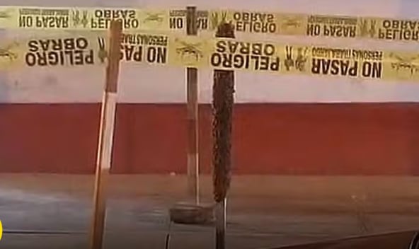 Un enjambre de abejas se instaló en plena vía pública en Santa Anita, generando alarma entre vecinos y comerciantes. Dos personas fueron picadas antes de que personal especializado retirara a los insectos. (Foto: RPP)