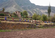 Cusco: Por fin inician recuperación de los icónicos andenes de Yucay (FOTOS)