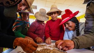 Buscan mejorar la calidad de siembra de pastos en Cusco (FOTOS)