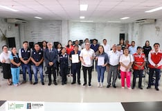 Ica: Aprobación del Plan Regional Multisectorial para la prevención y reducción de la anemia materno infantil