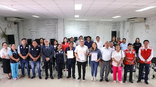 Ica: Aprobación del Plan Regional Multisectorial para la prevención y reducción de la anemia materno infantil