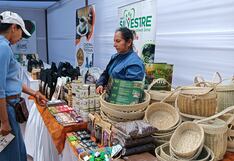 Productores de café organizan festival en Pichanaqui del 21 al 26 de agosto