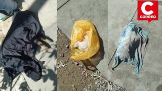 Ica: denuncian envenenamiento de mascotas en distrito de Los Aquijes