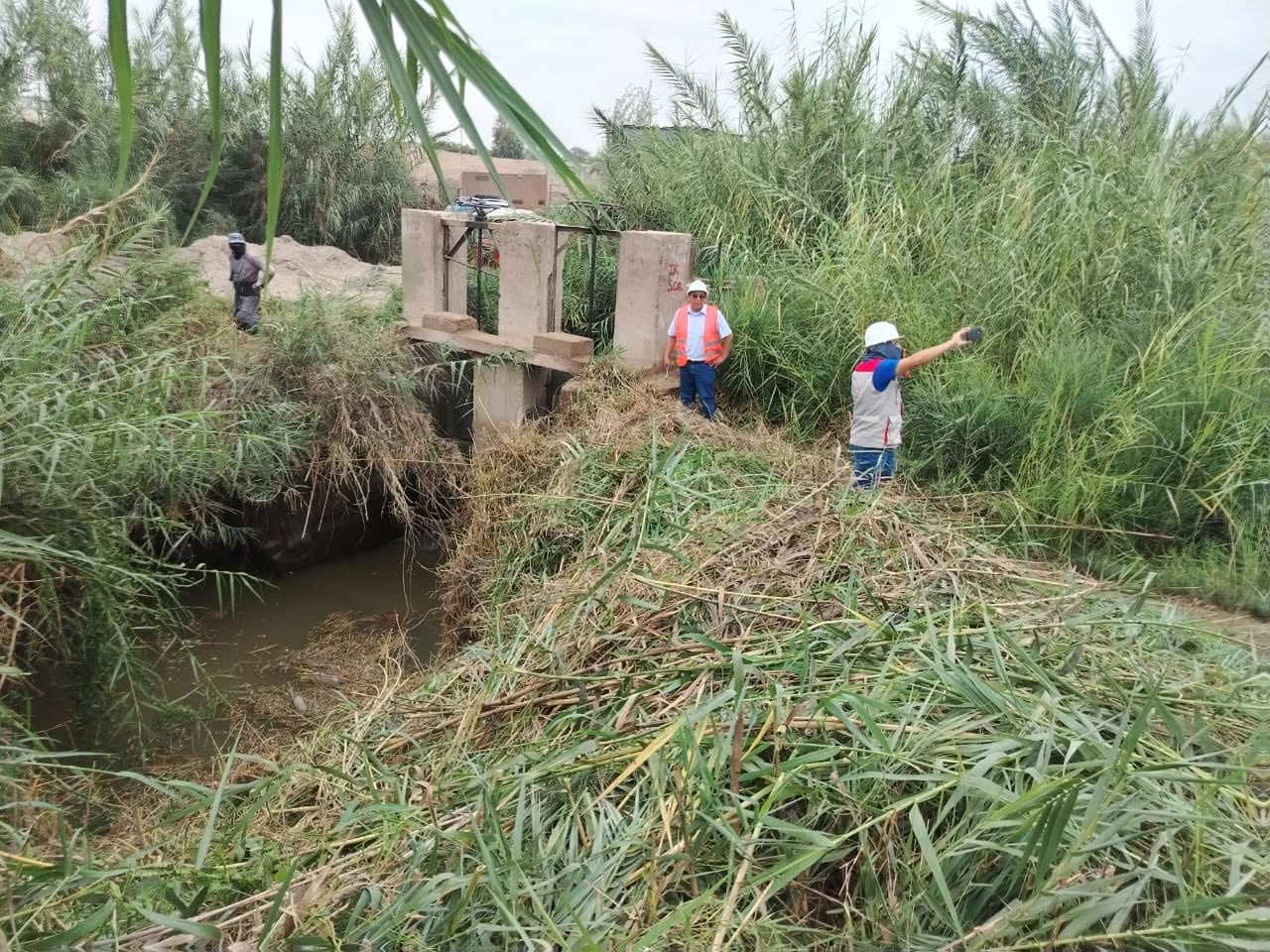 Pisco: agricultores piden apoyo ante afectaciones climáticas por la pérdida de sembríos