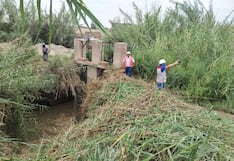 Pisco: agricultores piden apoyo ante afectaciones climáticas por la pérdida de sembríos
