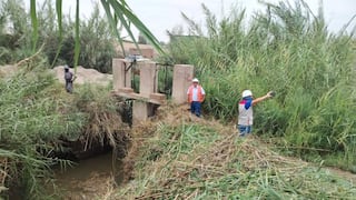 Pisco: agricultores piden apoyo ante afectaciones climáticas por la pérdida de sembríos