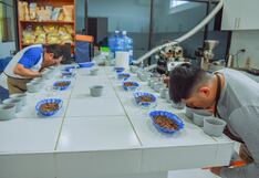 49 muestras compiten por ser el “Mejor café de la región Piura”