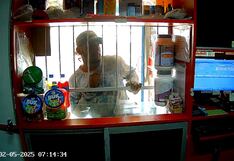 Arequipa: Asesinan a farmacéutica a plena luz del día (VIDEO)