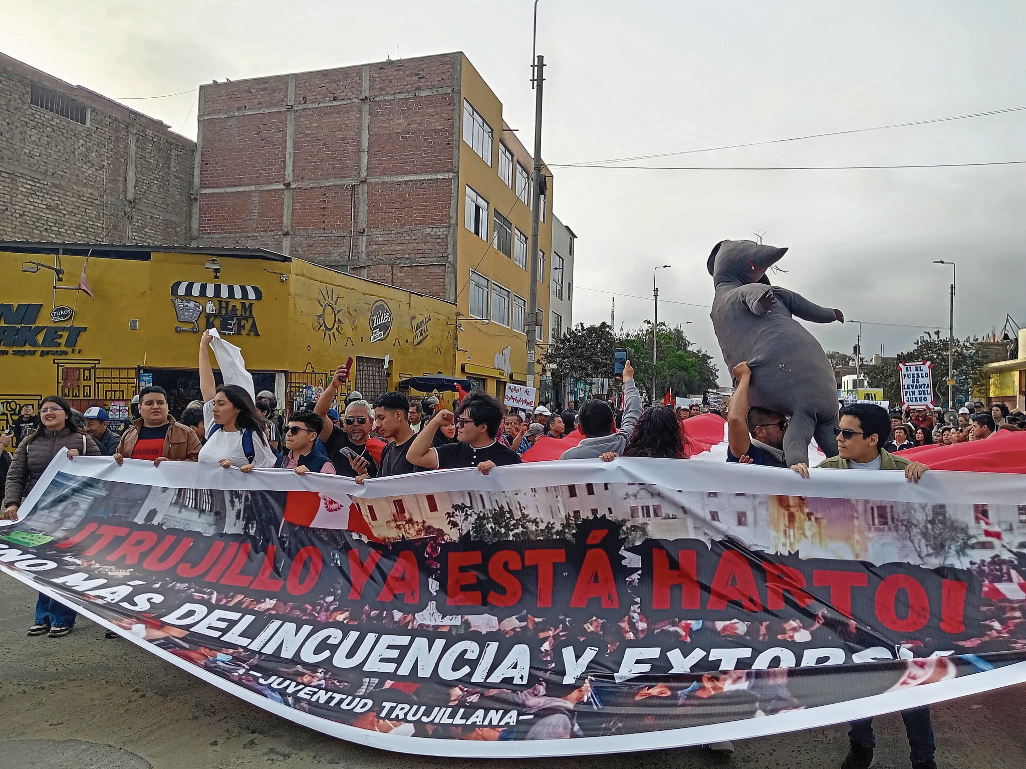 Colectivos ciudadanos acataron movilización. Foto: Ozono TV.