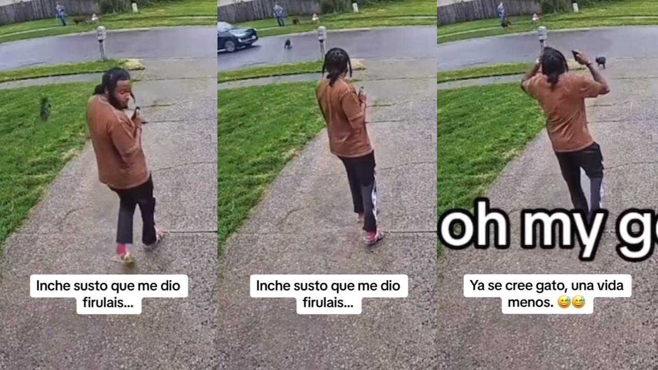 Perrito se salvó de milagro al pasar por debajo de un auto. (Foto: composición EC)