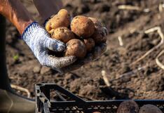 PBI de La Libertad creció 6.2% en el 2024, por encima del promedio nacional