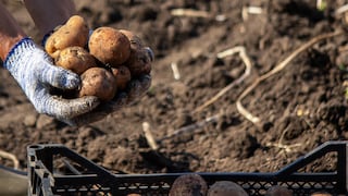 PBI de La Libertad creció 6.2% en el 2024, por encima del promedio nacional