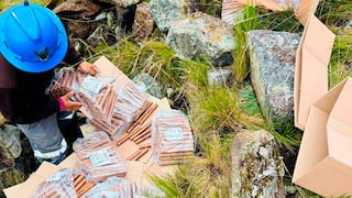 Junín: Eliminan 450 kilos de explosivos vencidos en Concepción