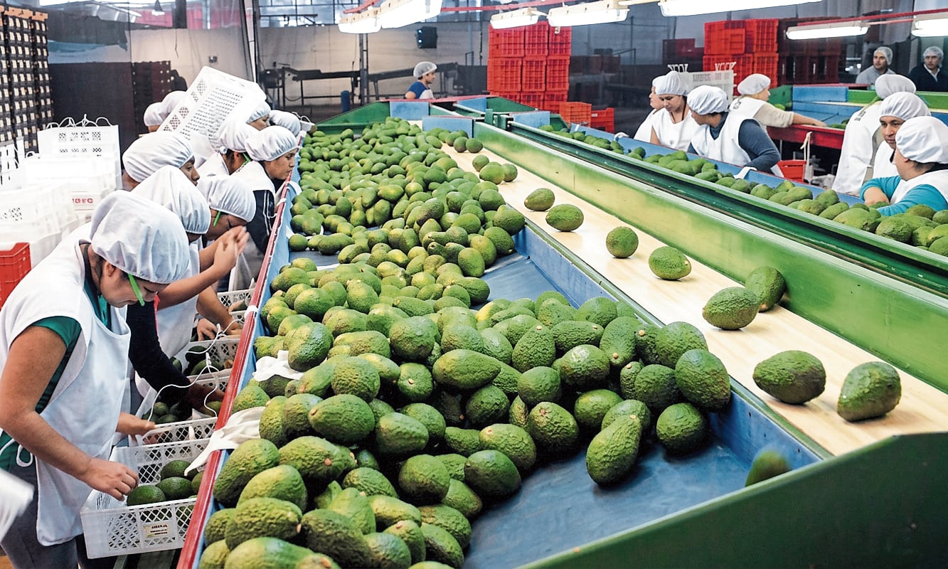 Piura genera 300,000 empleos, según ADEX