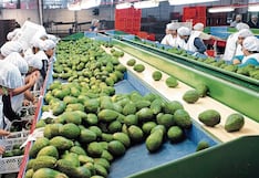 Piura genera 300,000 empleos, según ADEX