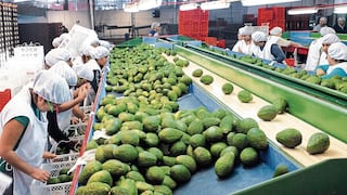 Piura genera 300,000 empleos, según ADEX