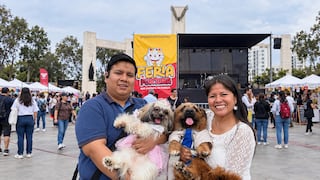 Feria en Jesús María ofrecerá atención gratuita para mascotas y conciertos este fin de semana