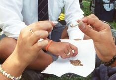 DREJ emite protocolos para evitar el consumo de drogas en las IE