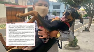 JNE declara vacancia del alcalde de Arequipa, Víctor Hugo Rivera