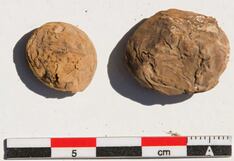 Hallan en Arequipa papas de 500 años que revelan cómo los incas elaboraban el chuño