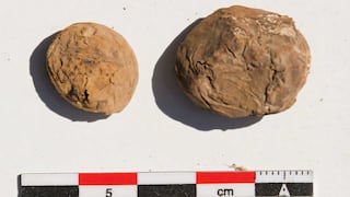 Hallan en Arequipa papas de 500 años que revelan cómo los incas elaboraban el chuño
