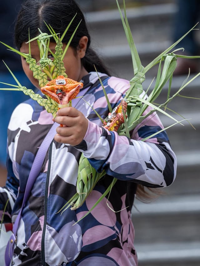 Domingo de Ramos: fieles y el Cristo Cholo recorren la Catedral y Plaza de Armas de Lima. (Fotos: Paloma del Solar/GEC)