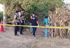 Chincha: hallan cuerpo sin vida de un hombre en maizal de Alto Larán