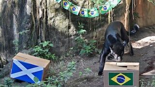 Mundial 2026: Partidos de hoy miércoles 24 de junio, horarios y dónde ver