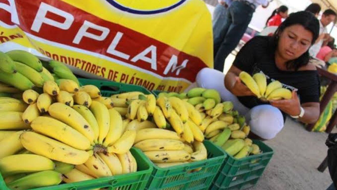 Son 27 productores y se preparan para conmemorar semana de este producto bandera de La Libertad, uno de los más consumidos a nivel nacional.