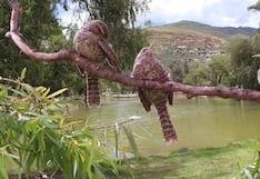 El Taurisho, el pequeño guardián de la laguna Viña del Río en Huánuco a punto de desaparecer
