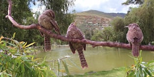 El Taurisho, el pequeño guardián de la laguna Viña del Río en Huánuco a punto de desaparecer