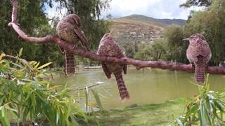 El Taurisho, el pequeño guardián de la laguna Viña del Río en Huánuco a punto de desaparecer