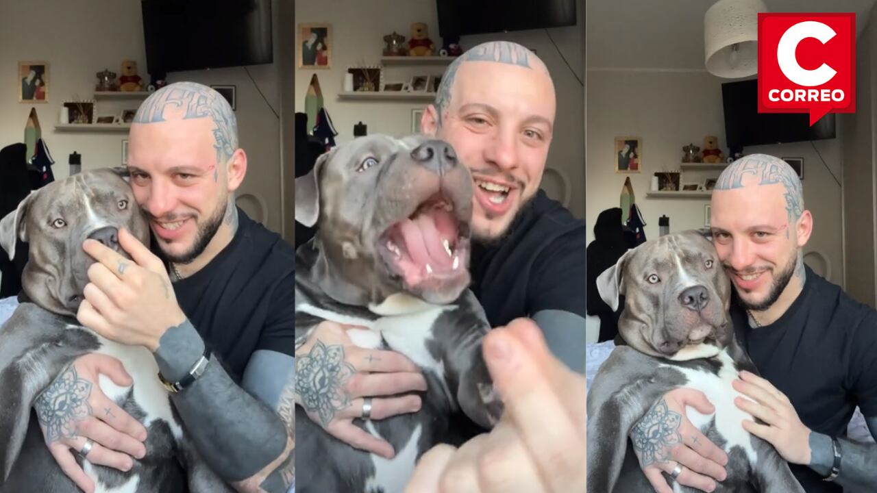 Reacción de perro enternece a TikTok