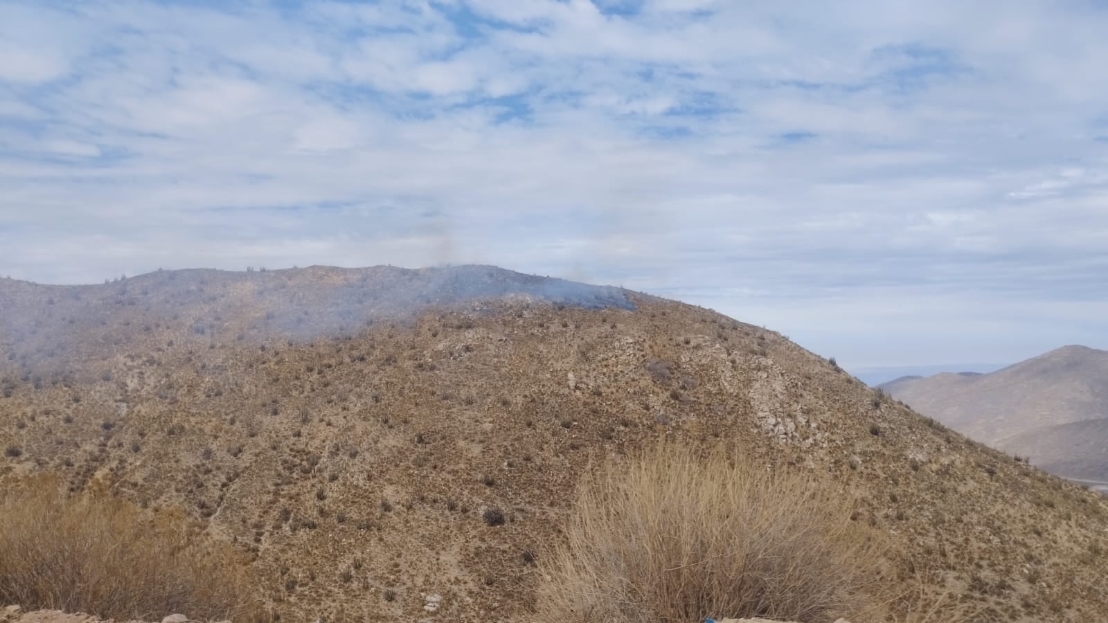 Incendio forestal en Lluta, Caylloma. Foto: COER Arequipa.