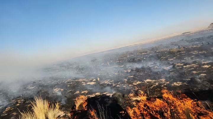 Puno: Incendio forestal afecta a 1,500 hectáreas de pastos naturales en Calapuja