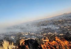 Puno: Incendio forestal afecta a 1,500 hectáreas de pastos naturales en Calapuja